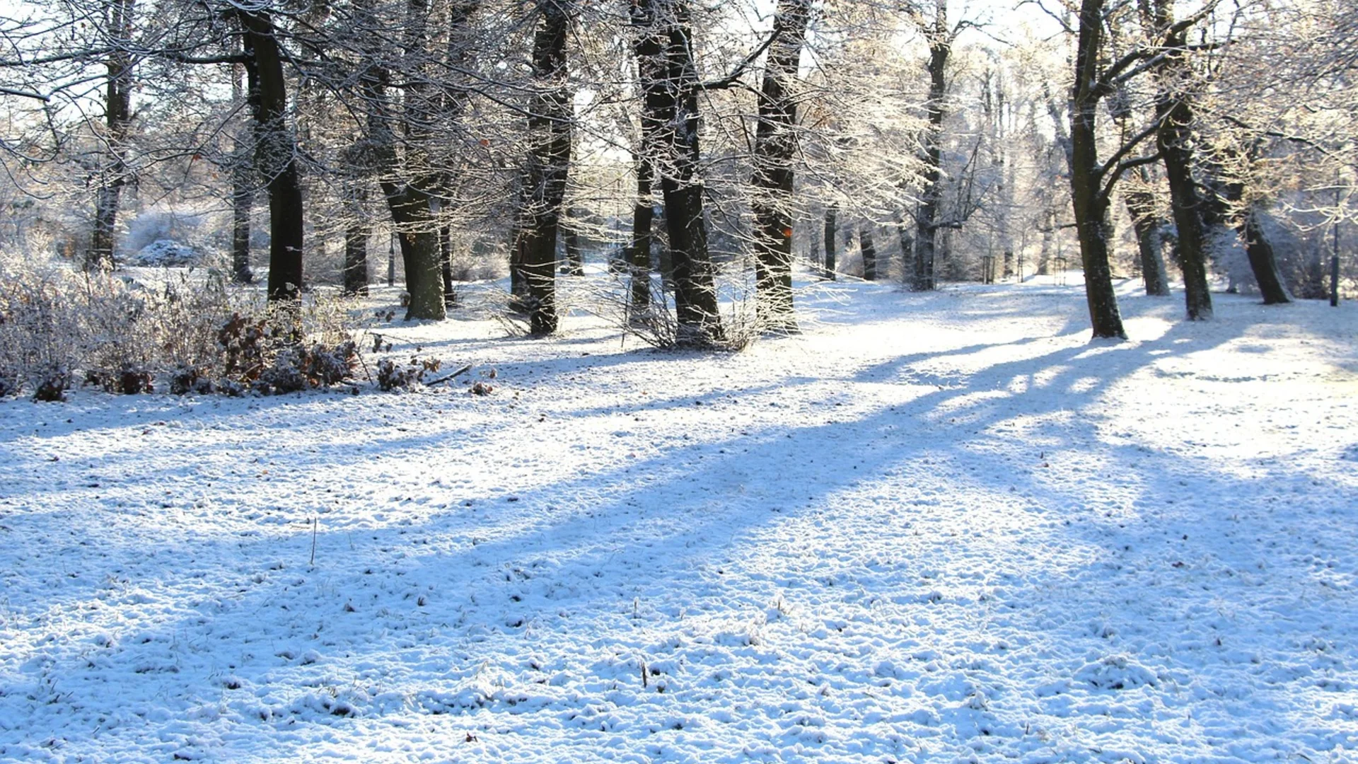 Winter-Park | © Image by <a href="https://pixabay.com/users/gosiak1980-2374509/?utm_source=link-attribution&utm_medium=referral&utm_campaign=image&utm_content=7648320">Gosia K.</a> from <a href="https://pixabay.com//?utm_source=link-attribution&utm_medium=referral&utm_campaign=image&utm_content=7648320">Pixabay</a>