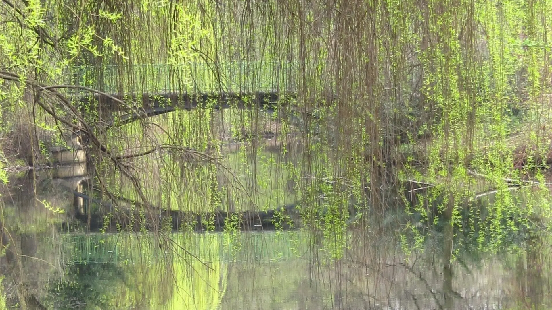 Tiergarten Berlin | © Image by <a href="https://pixabay.com/users/pixabairis-552123/?utm_source=link-attribution&utm_medium=referral&utm_campaign=image&utm_content=531406">Iris</a> from <a href="https://pixabay.com//?utm_source=link-attribution&utm_medium=referral&utm_campaign=image&utm_content=531406">Pixabay</a>