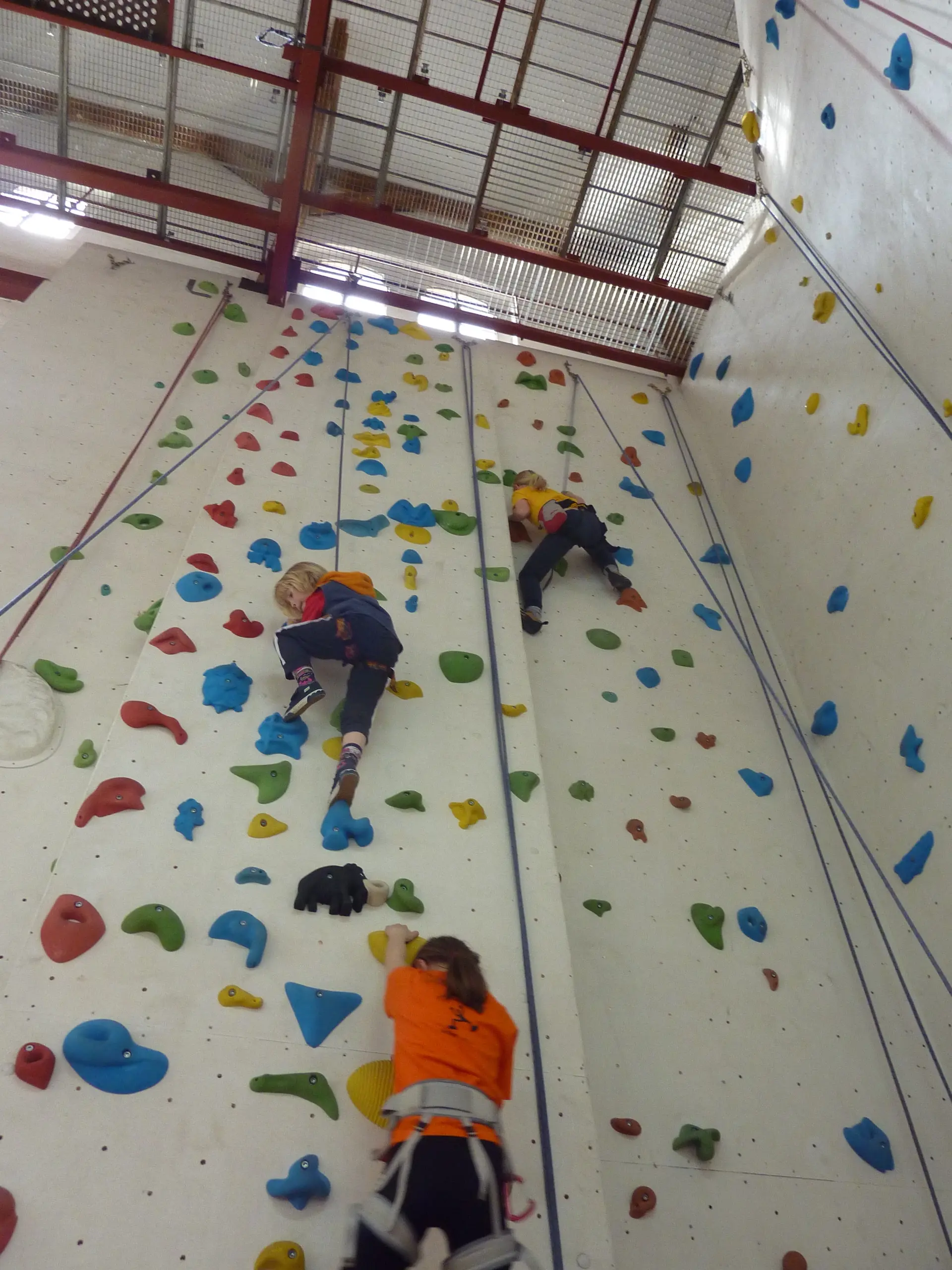 Kinder an der Kletterwand | © Bergfreunde Anhalt Dessau